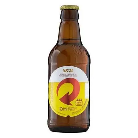 Skol retornável 300 ml - 1
