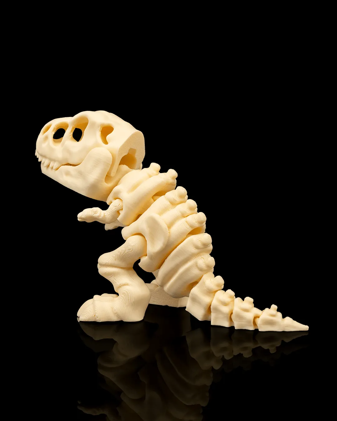 Dinossauro Esqueleto T-Rex Articulado - 5