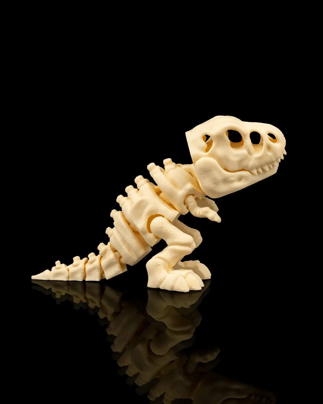 Dinossauro Esqueleto T-Rex Articulado - 4