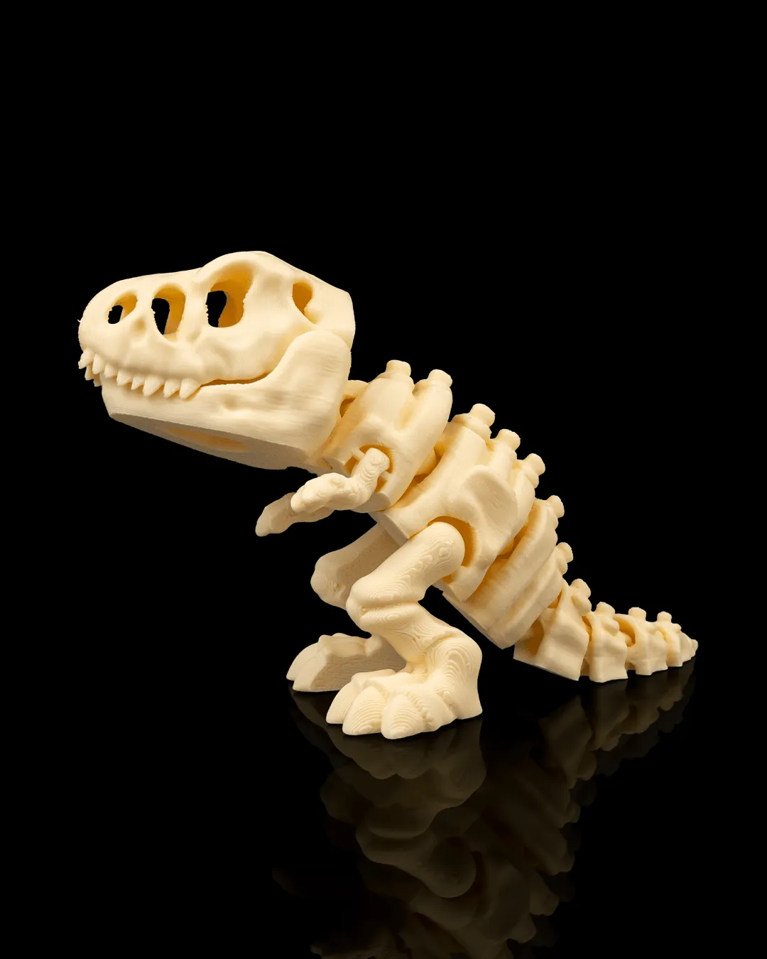 Dinossauro Esqueleto T-Rex Articulado - 3