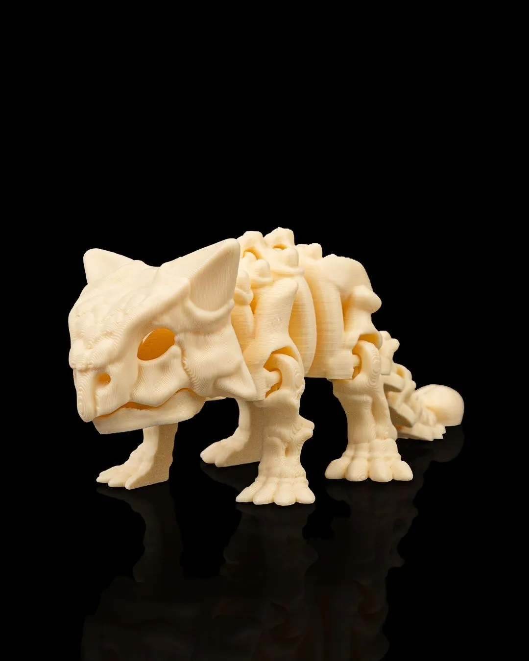 Dinossauro Esqueleto Ankylosaurus - 1