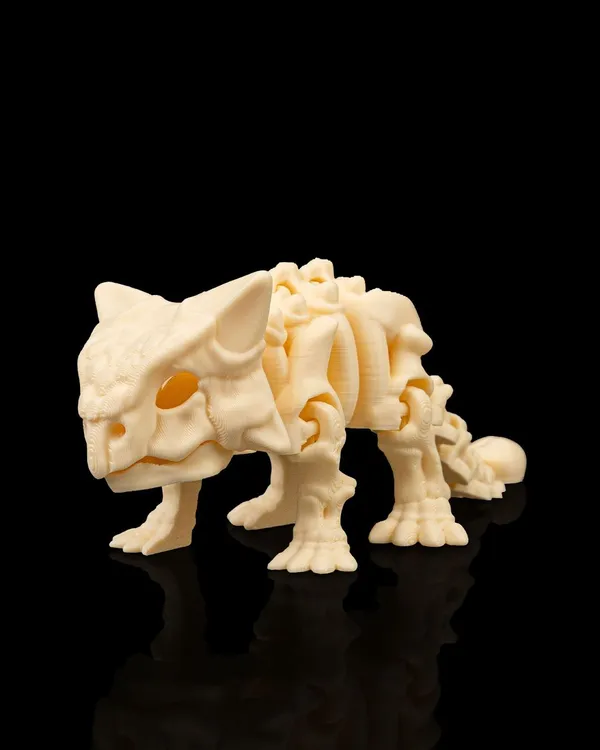 Dinossauro Esqueleto Ankylosaurus