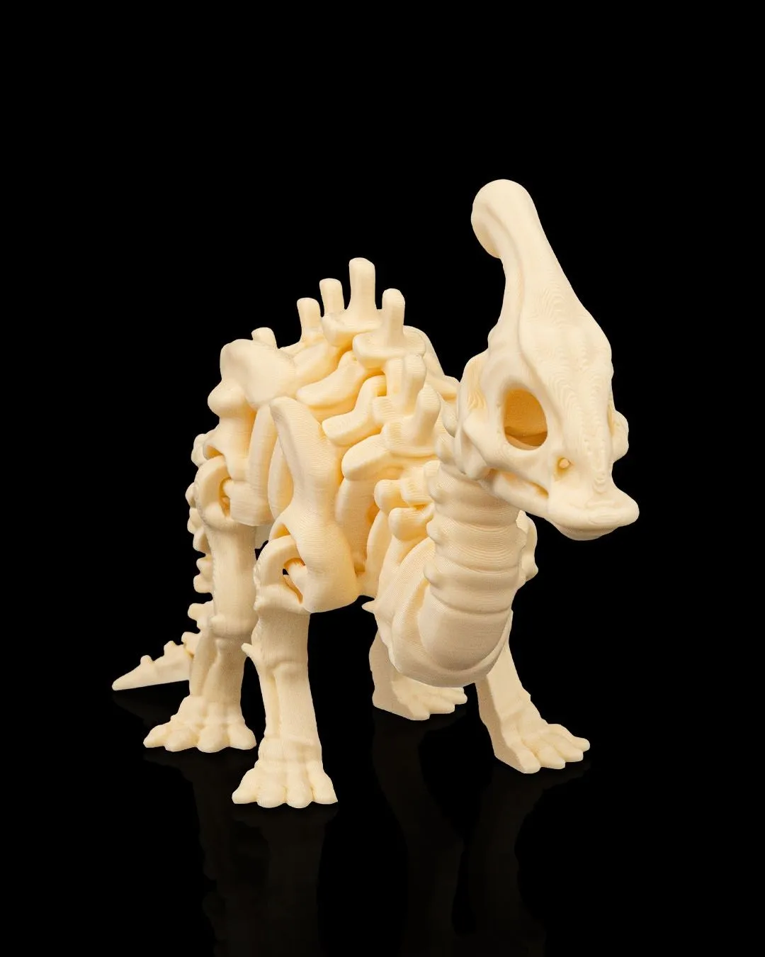 Dinossauro Esqueleto Parasaurolophus - 3