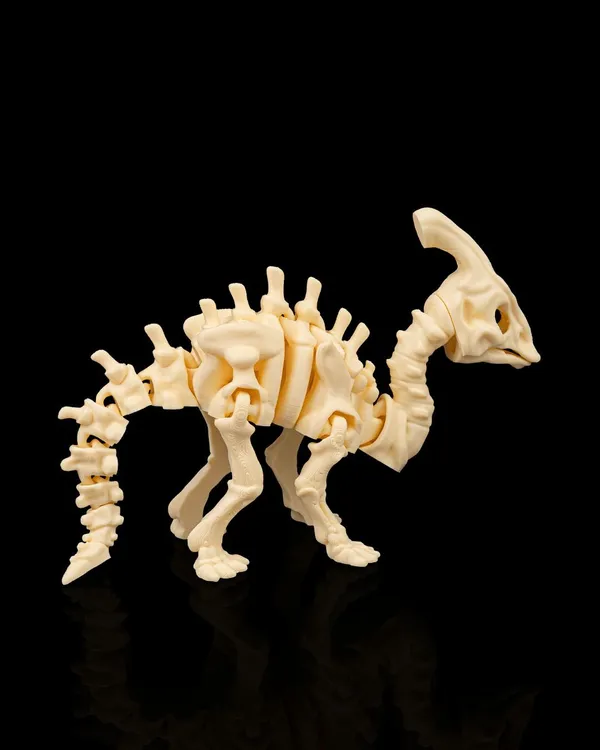 Dinossauro Esqueleto Parasaurolophus