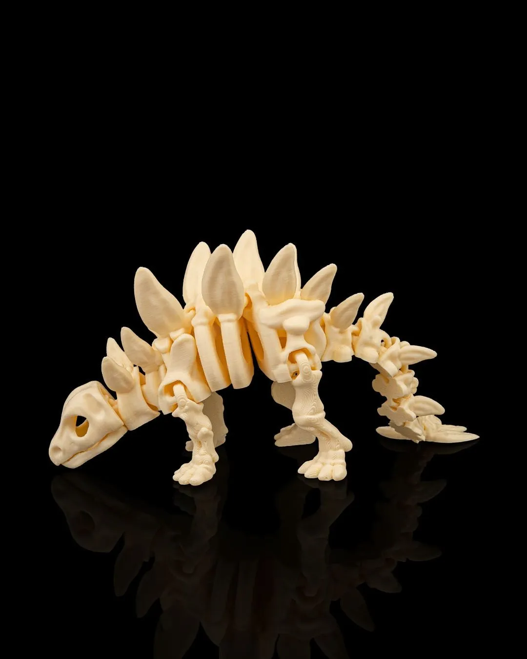 Dinossauro Esqueleto Stegosaurus - 2