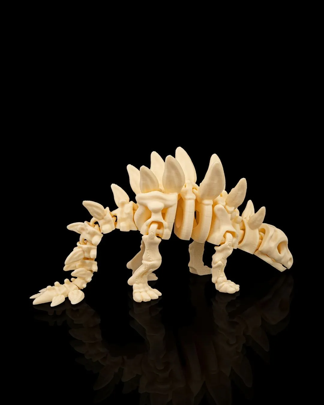 Dinossauro Esqueleto Stegosaurus - 4