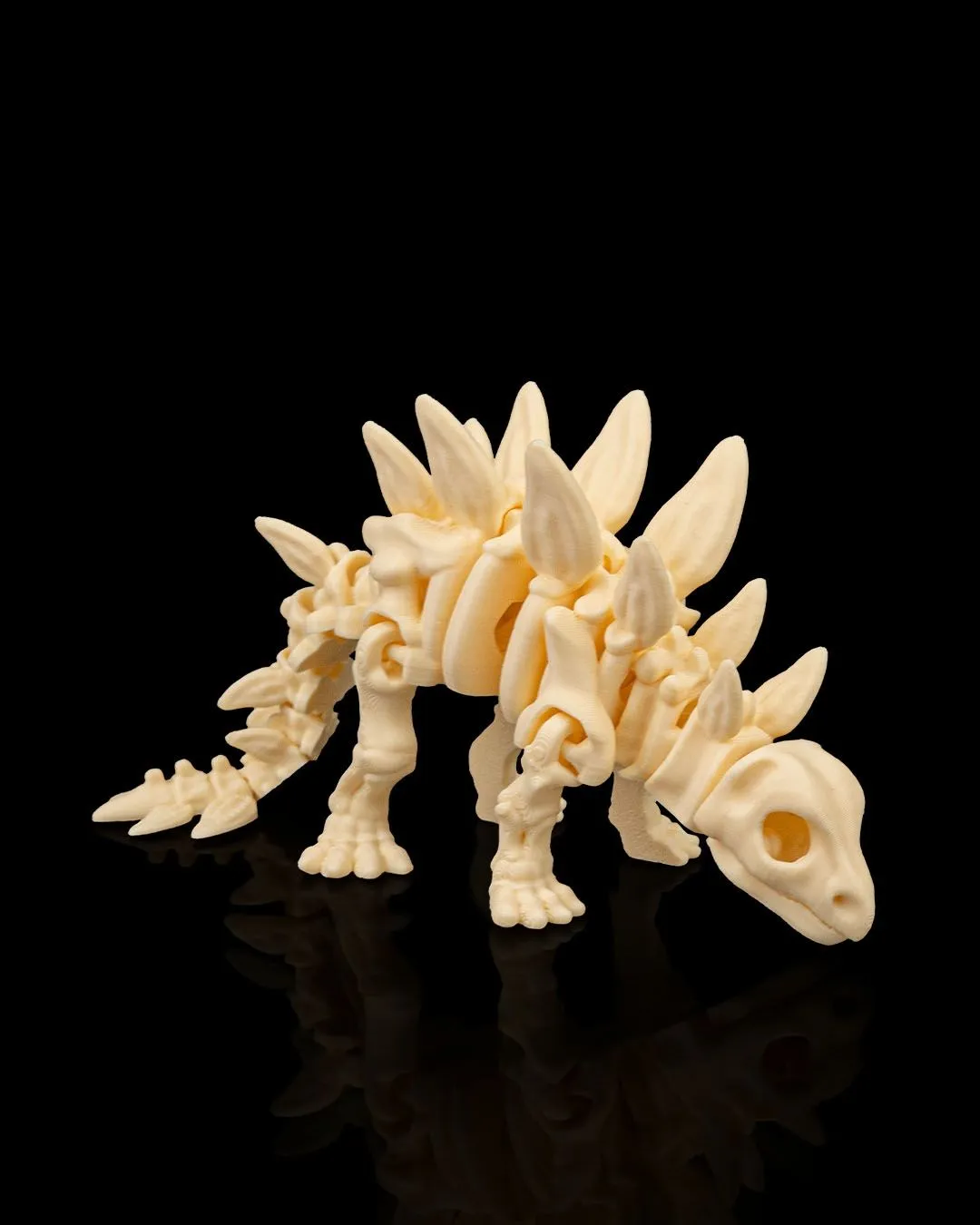 Dinossauro Esqueleto Stegosaurus - 5