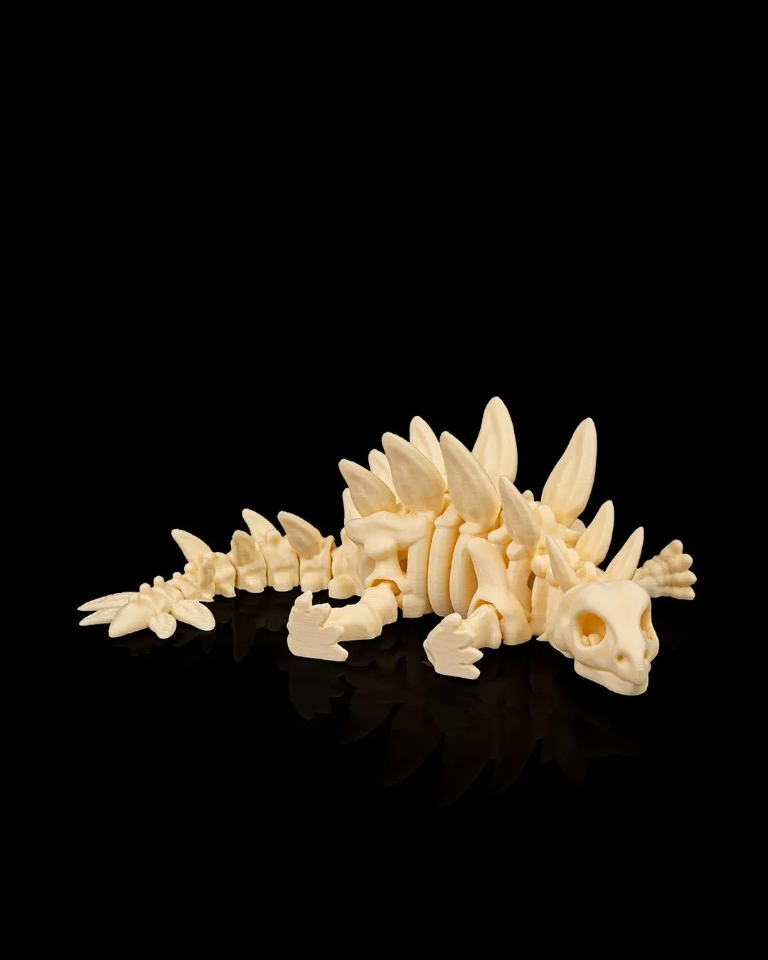 Dinossauro Esqueleto Stegosaurus - 6
