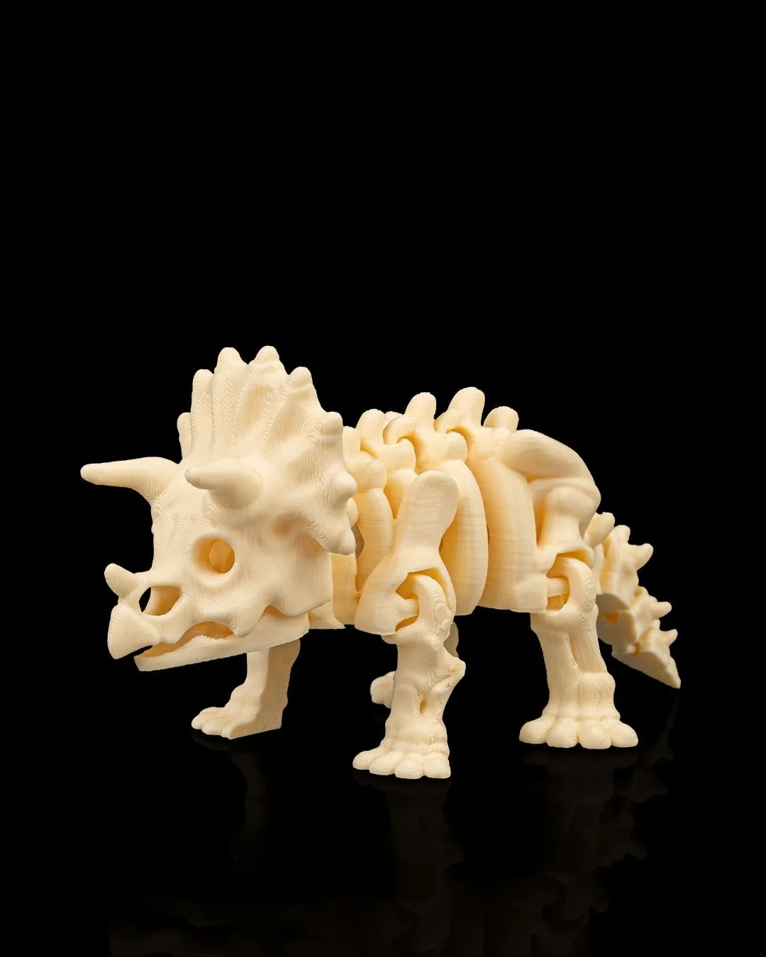 Dinossauro Esqueleto Triceratops - 2