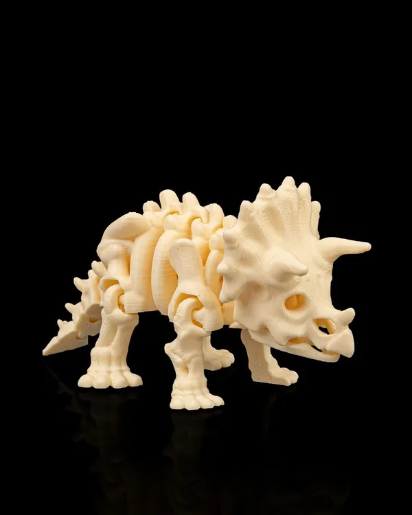 Dinossauro Esqueleto Triceratops