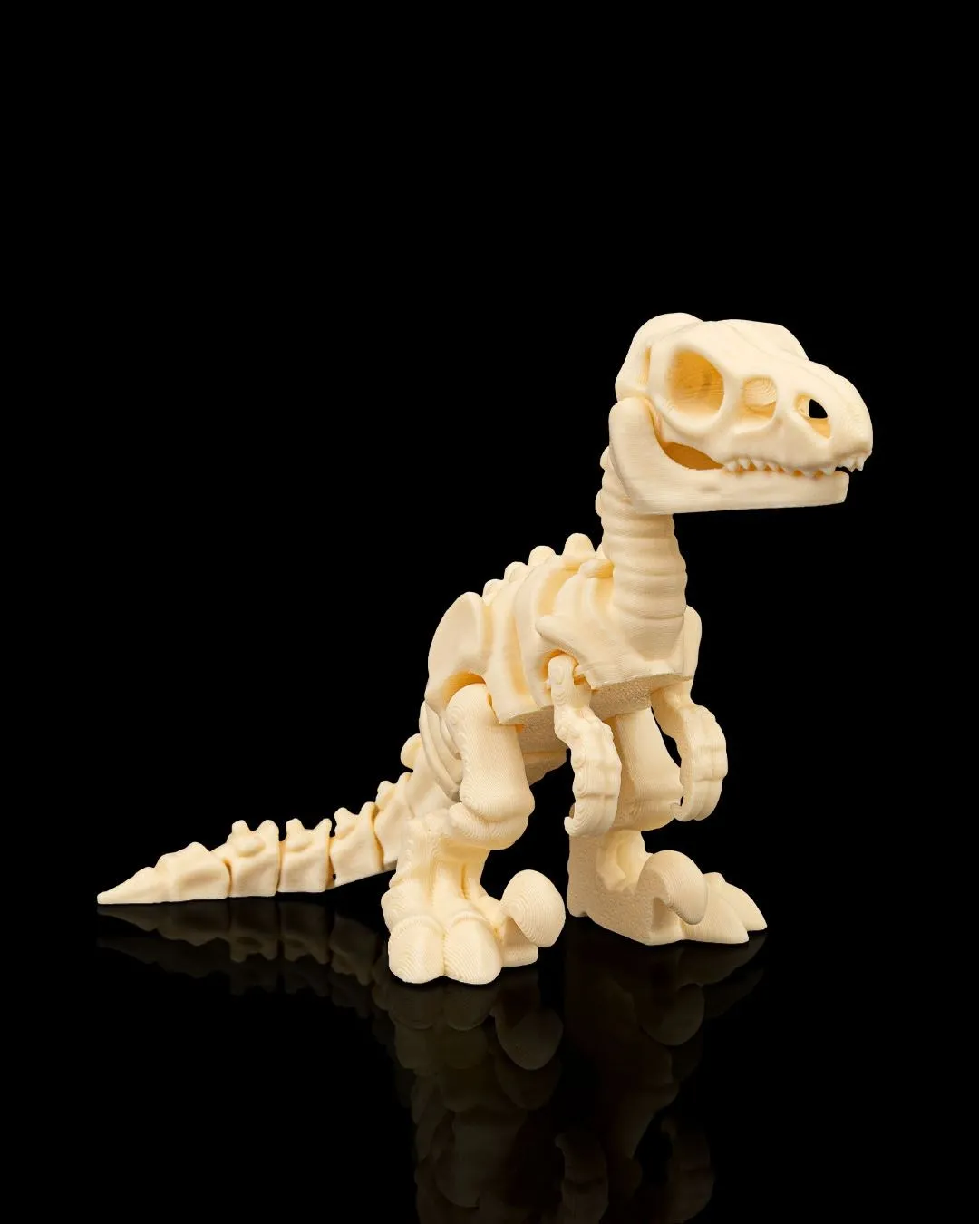 Dinossauro Esqueleto Velociraptor - 1