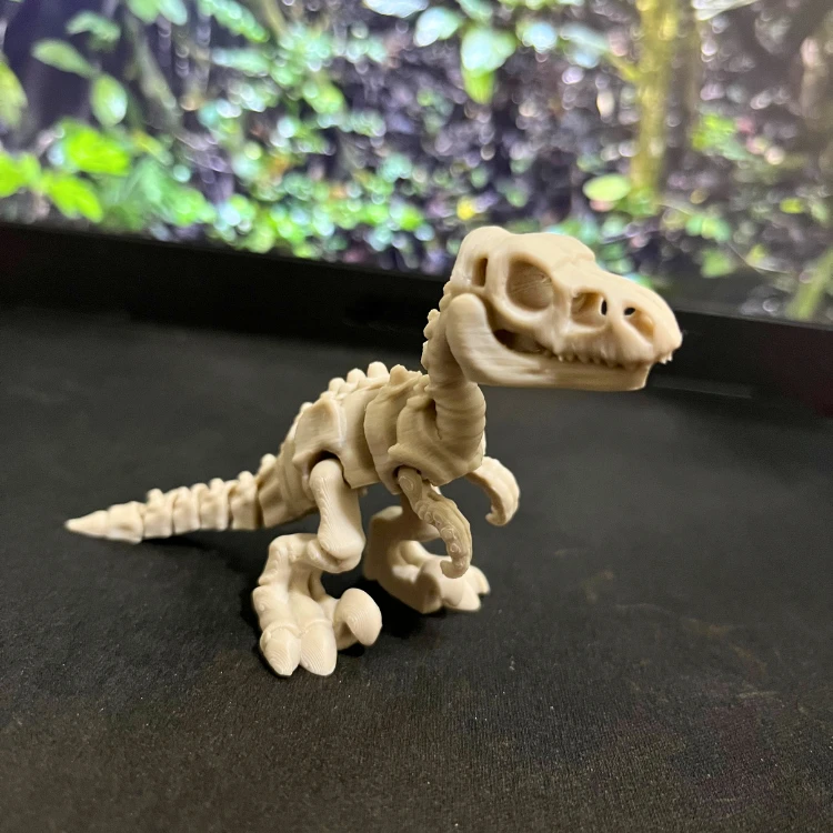 Velociraptor - Dinossauro Esqueleto Flexível - 1