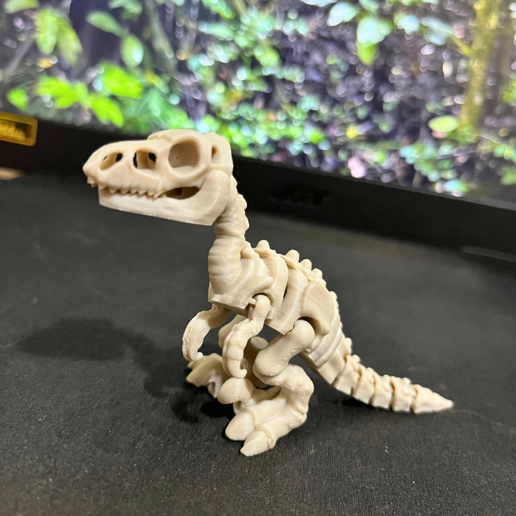 Velociraptor - Dinossauro Esqueleto Flexível - 2