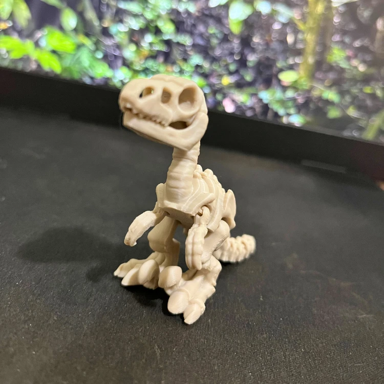 Velociraptor - Dinossauro Esqueleto Flexível - 3