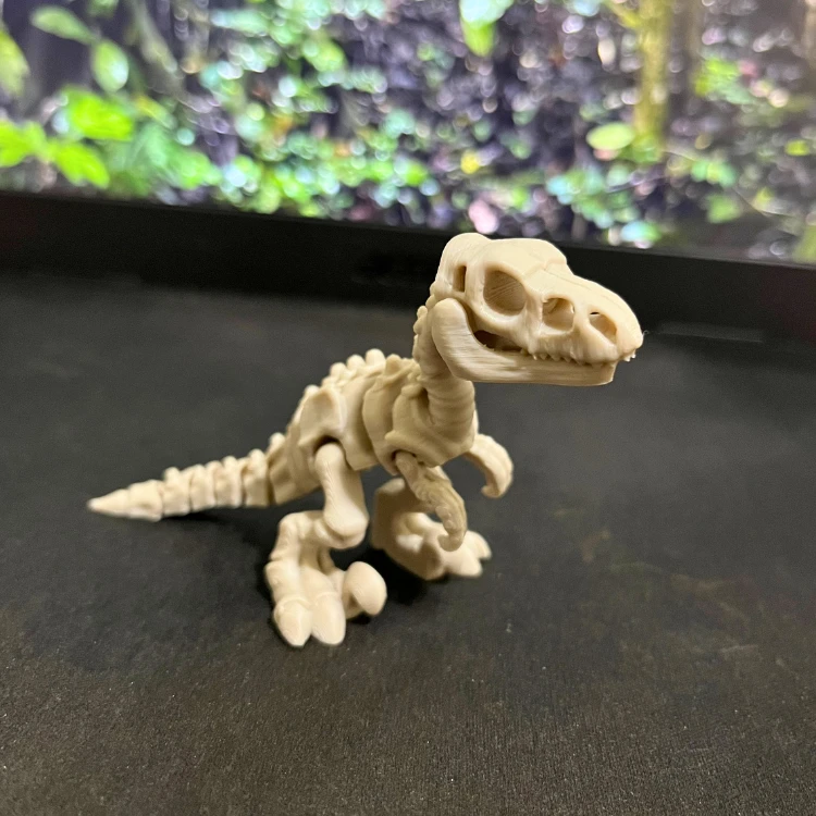 Velociraptor - Dinossauro Esqueleto Flexível - 5