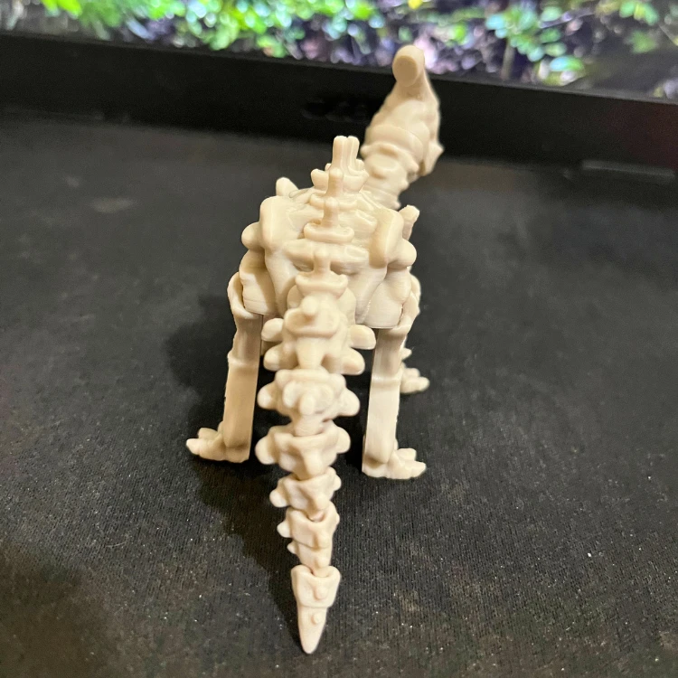 Parasaurolophus - Dinossauro Esqueleto Flexível - 4