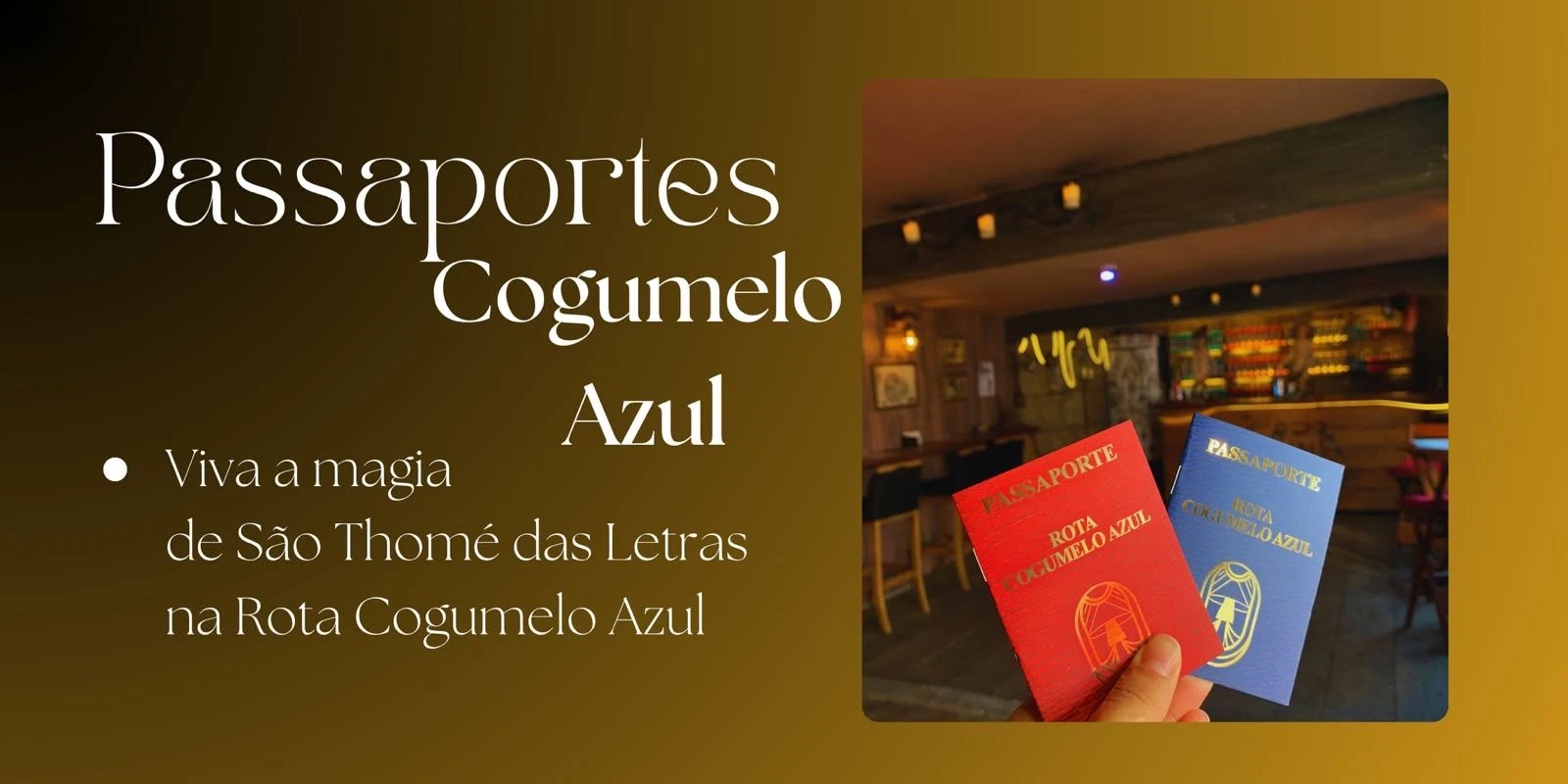 Pub Cogumelo Azul