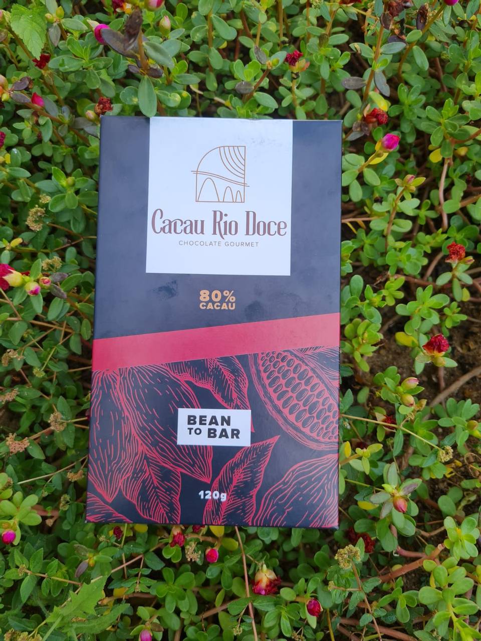 Chocolate 80% intenso