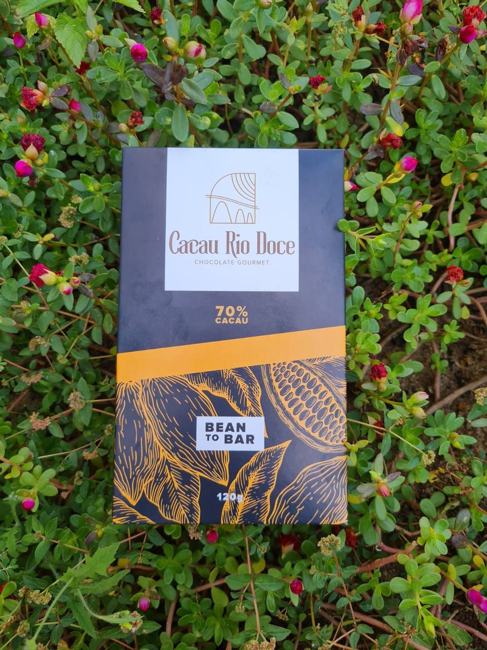 Chocolate 70% intenso 
