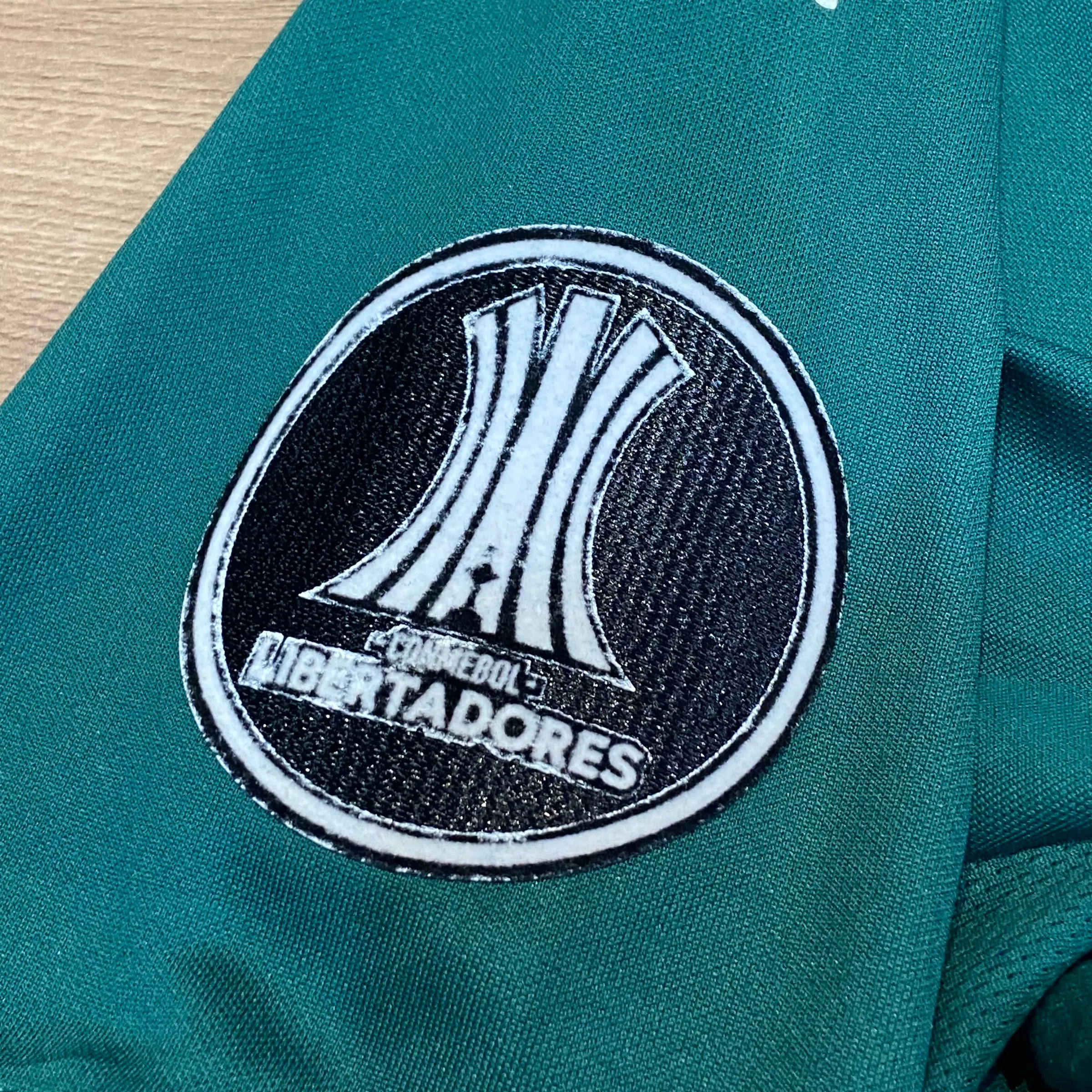 Palmeiras 2021 Casa - 5