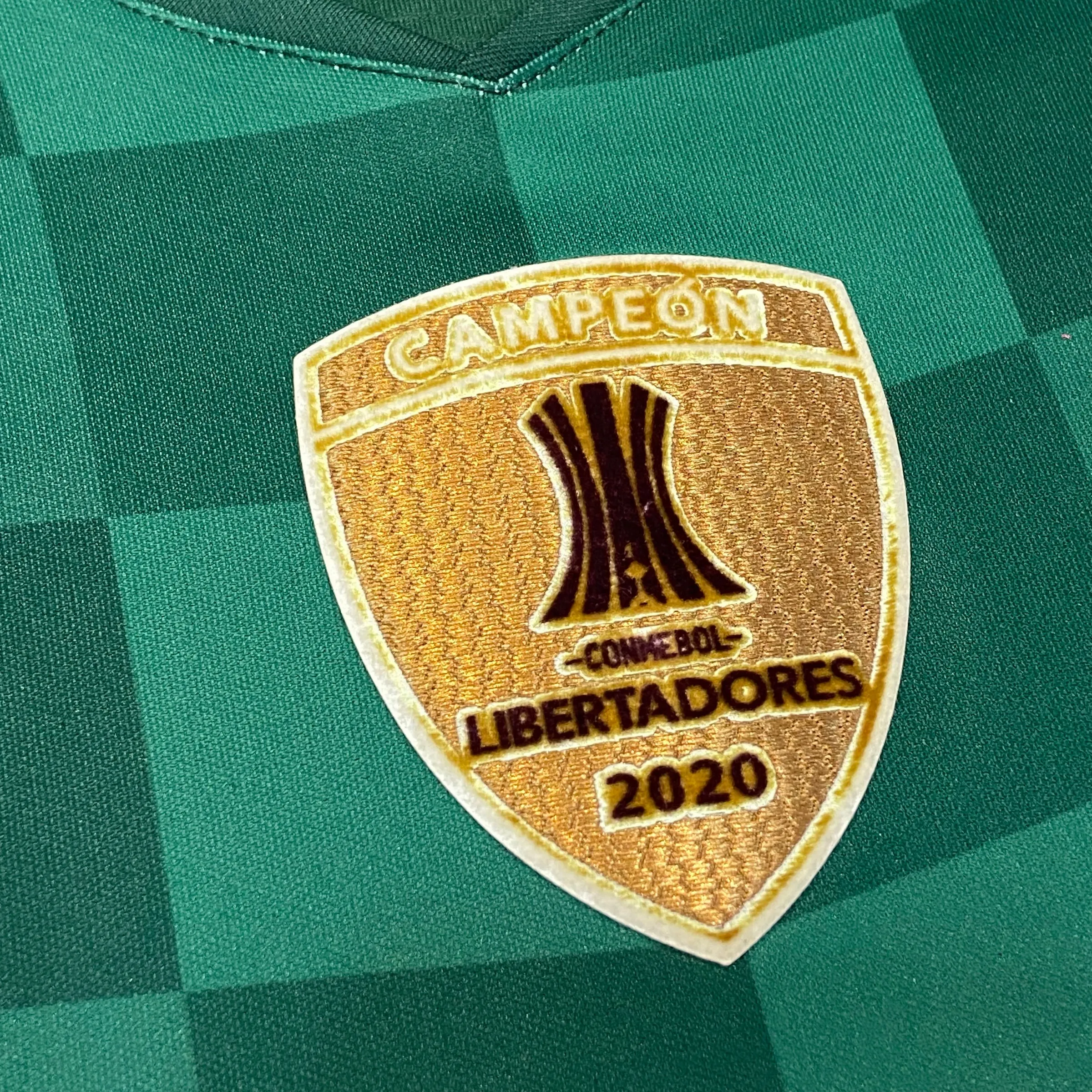 Palmeiras 2021 Casa - 3