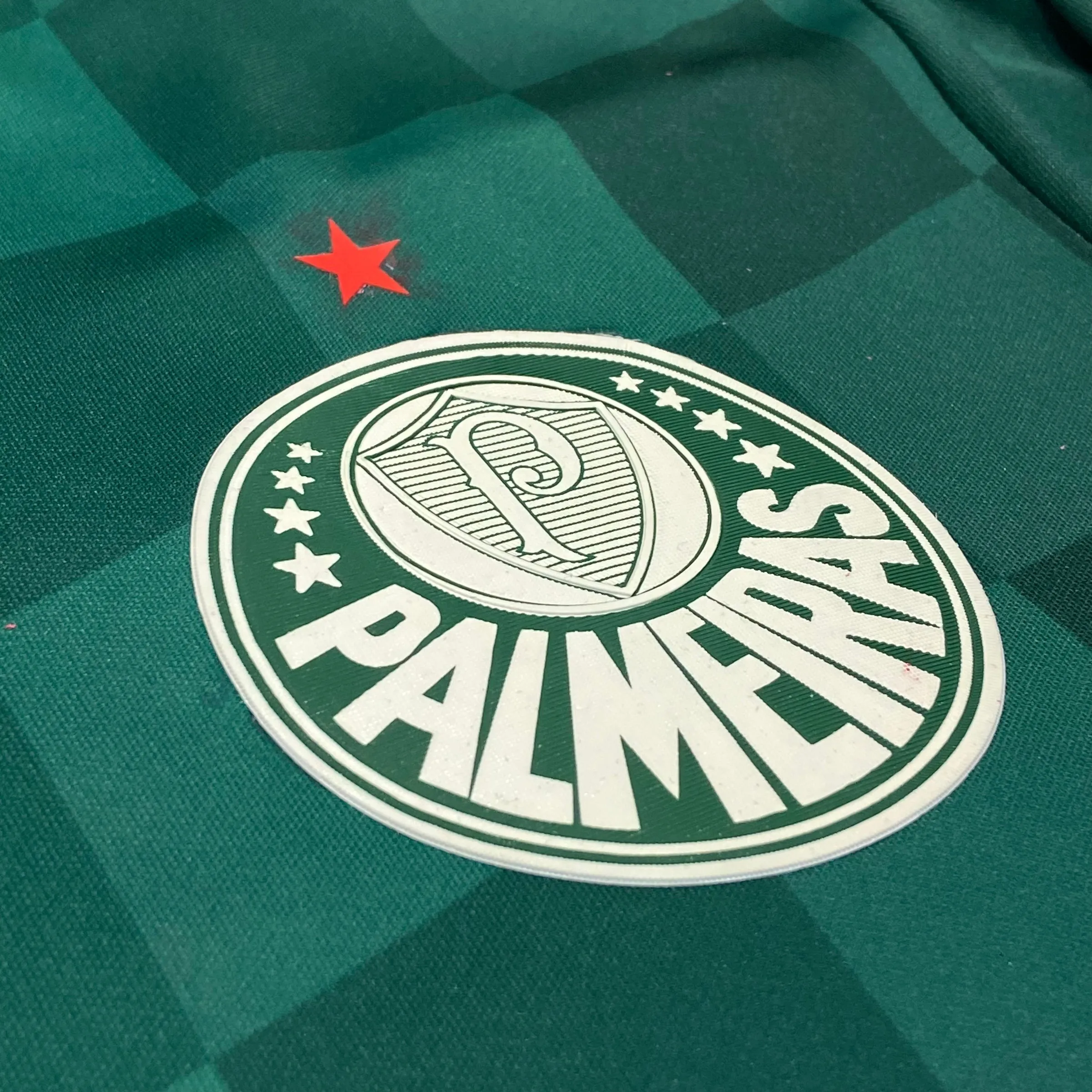 Palmeiras 2021 Casa - 4