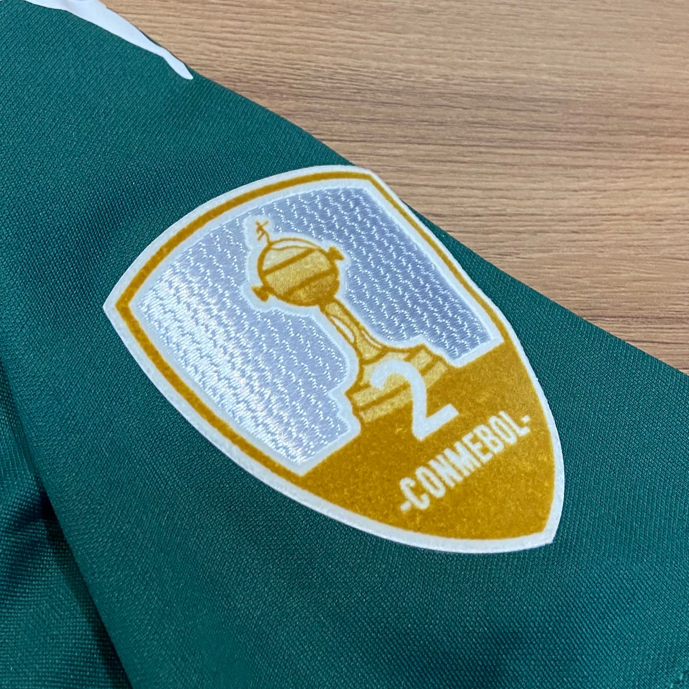 Palmeiras 2021 Casa - 6