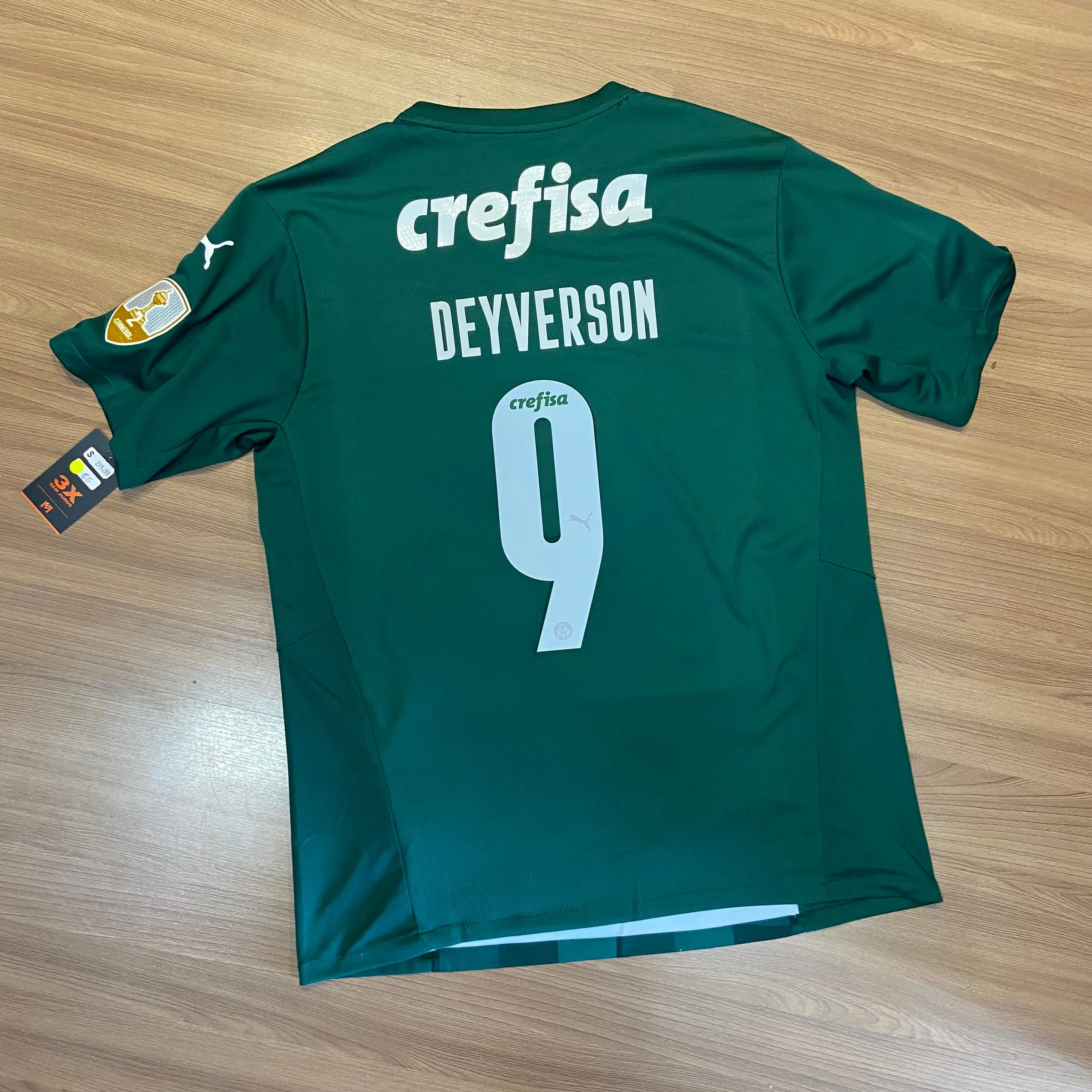 Palmeiras 2021 Casa - 7