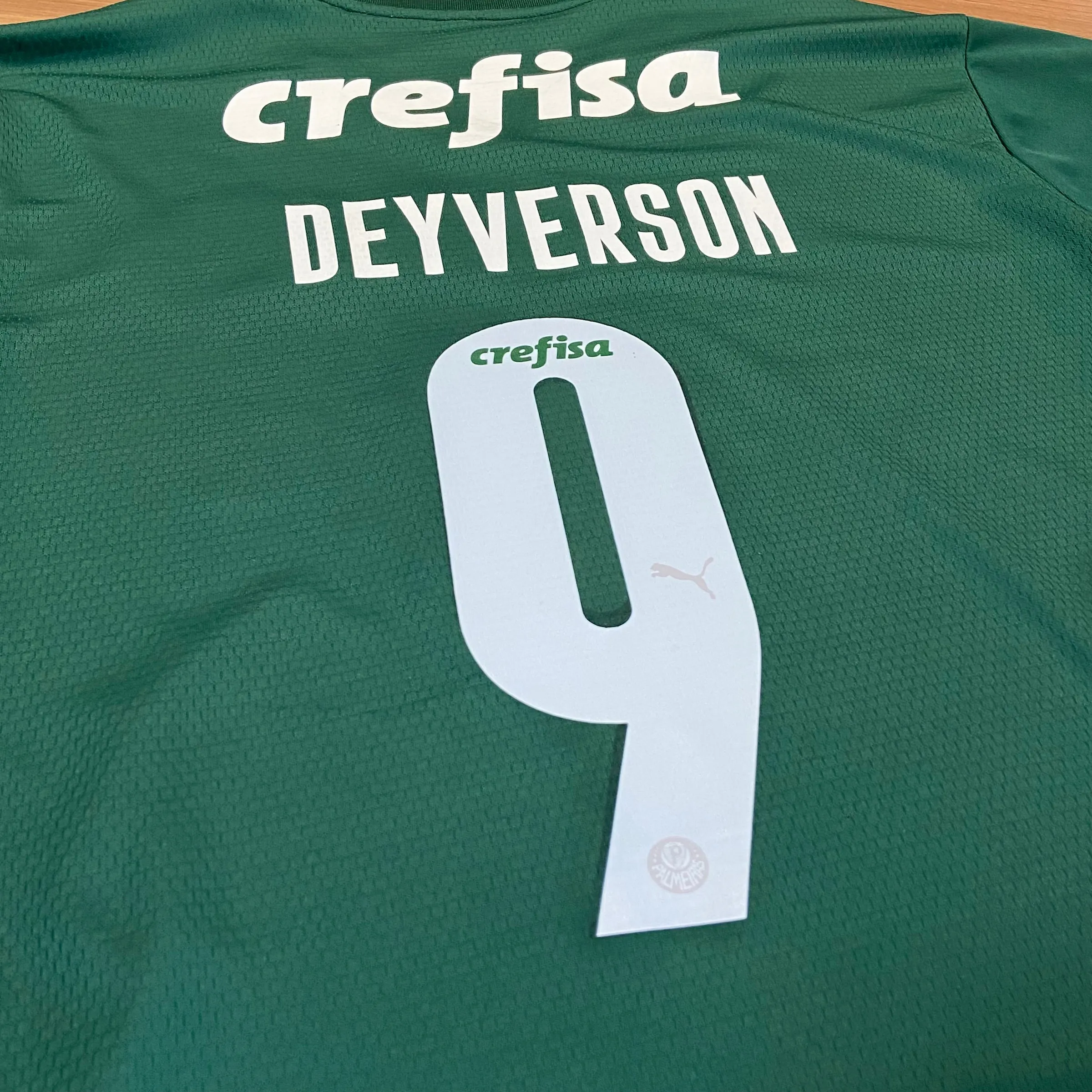Palmeiras 2021 Casa - 8