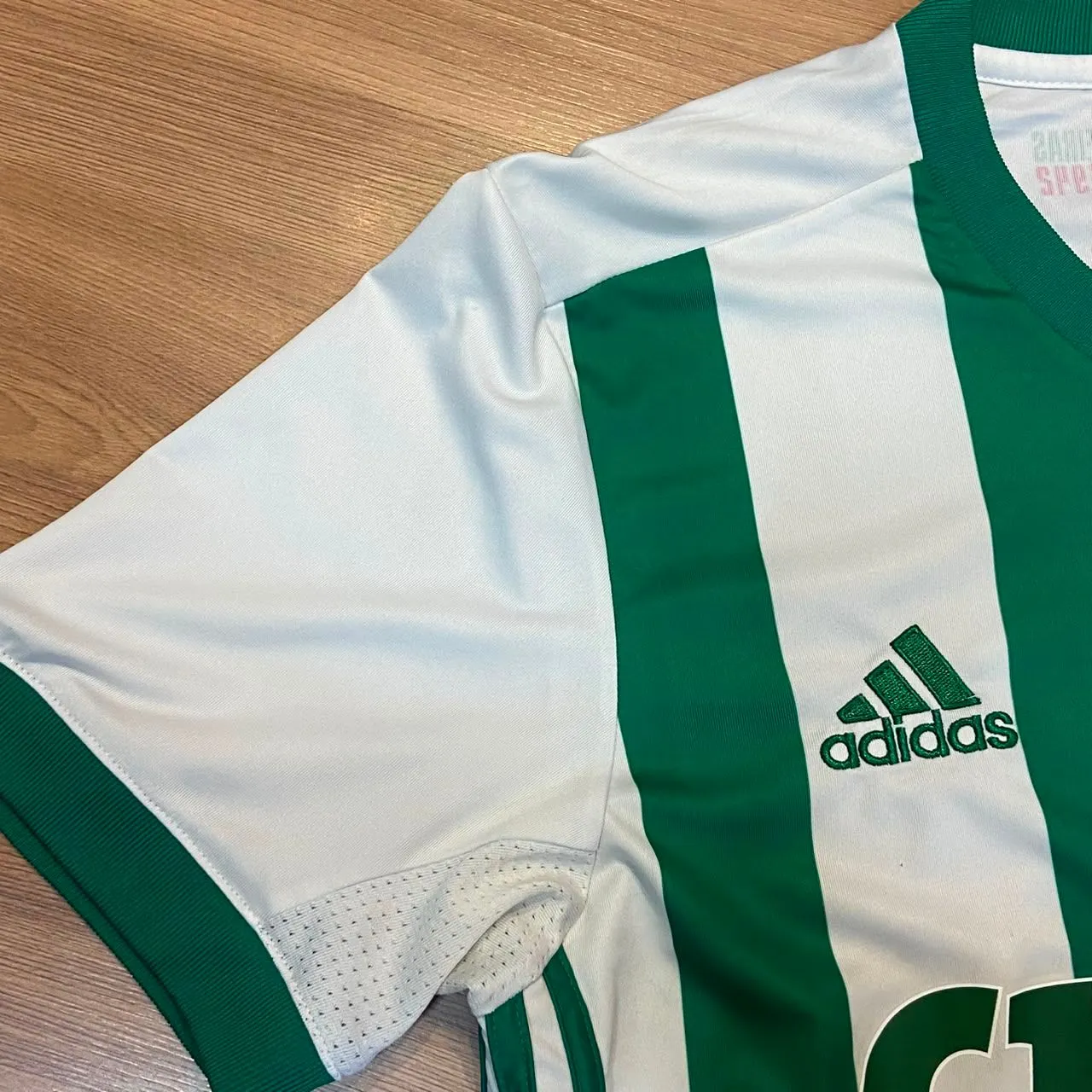 Palmeiras Fora 2017  - 4