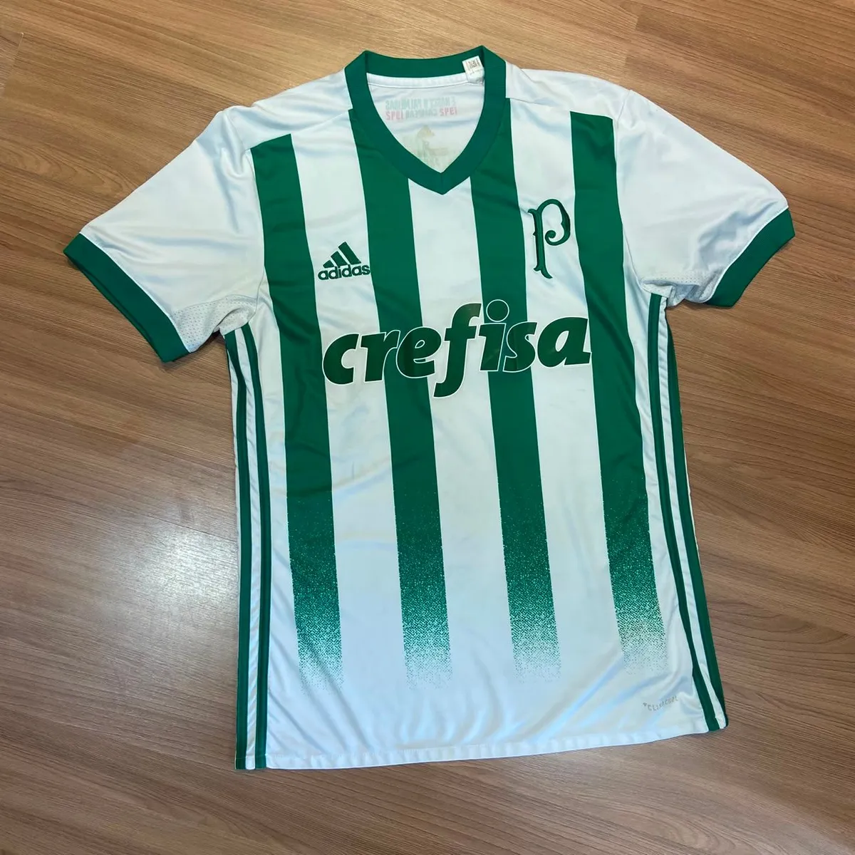 Palmeiras Fora 2017 