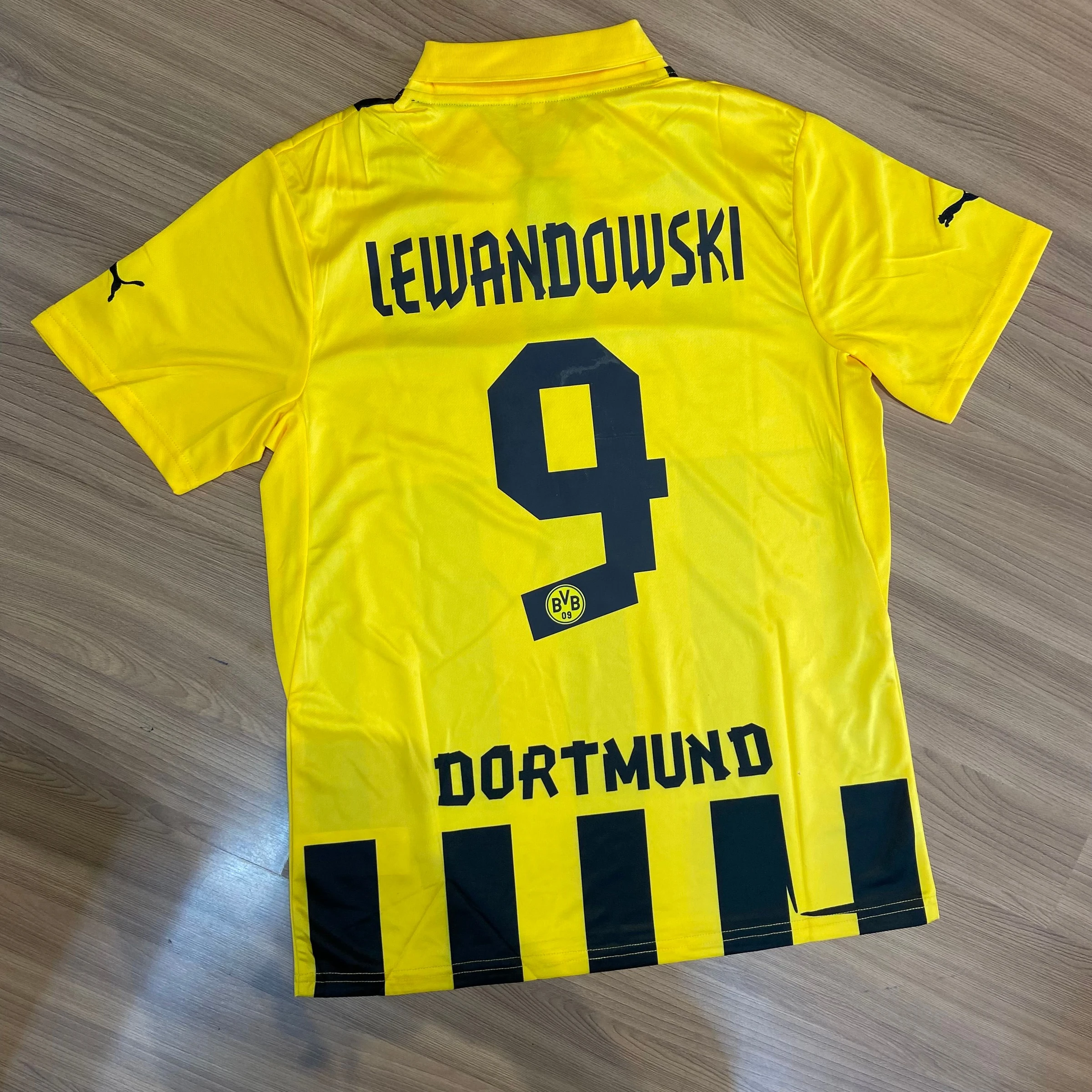 Borussia Dortmund 2012-13  - 2