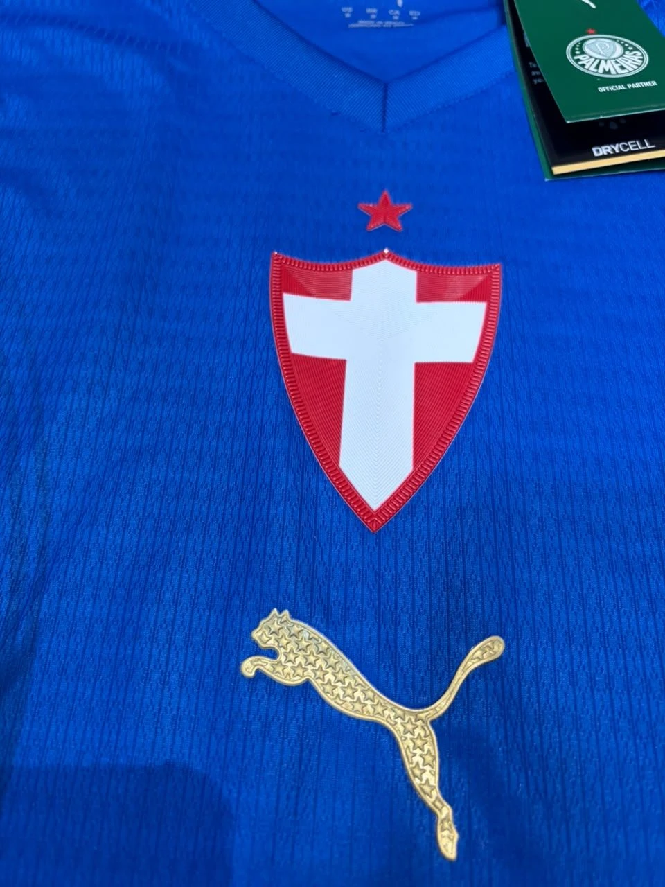Palmeiras III 2026 Modelo Jogador - 2