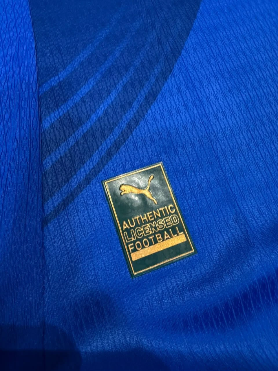 Palmeiras III 2026 Modelo Jogador - 3