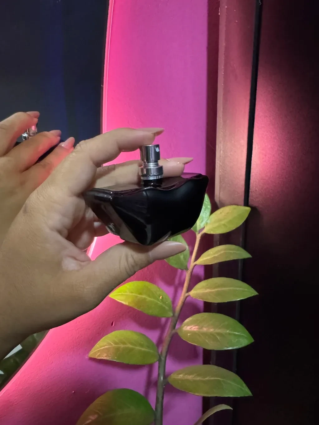 DIVINE PERFUME DA RIQUEZA E PROVOCAÇÃO FEMININA 30ML PROVOKE-ME - 5