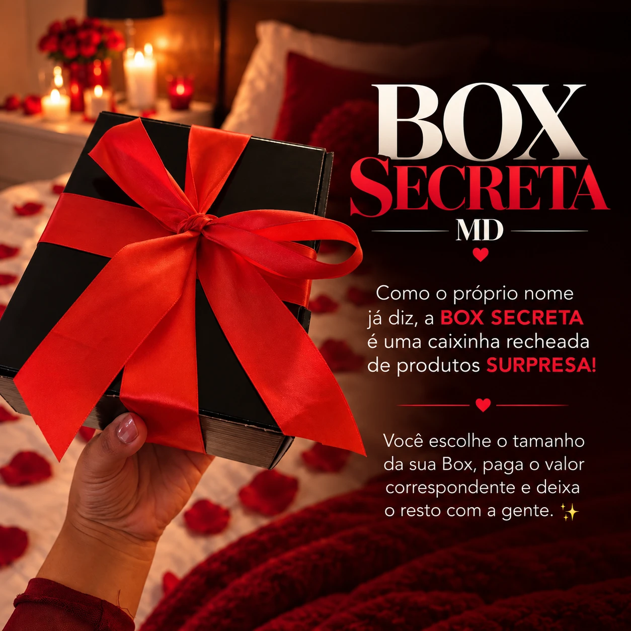 BOX SECRETA MD  - 3