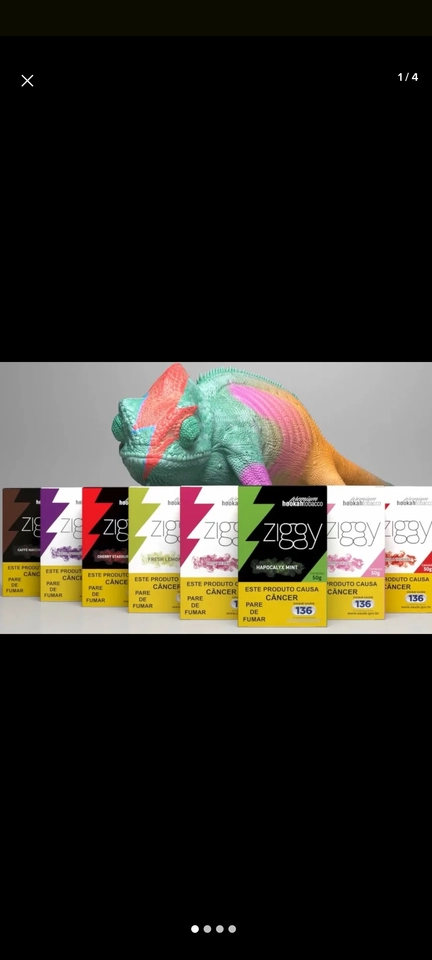 Peck Ziggy 10 unidades 50g 