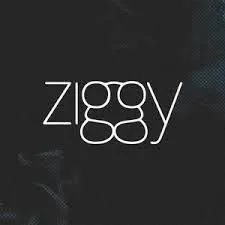 PECK ZIGGY COM 10 UNIDADES 50g (PAGAMENTO  SOMENTE A VISTA OU PIX)