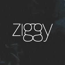PECK ZIGGY COM 10 UNIDADES 50g (PAGAMENTO  SOMENTE A VISTA OU PIX) - 1