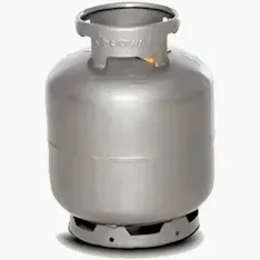 GAS P-13