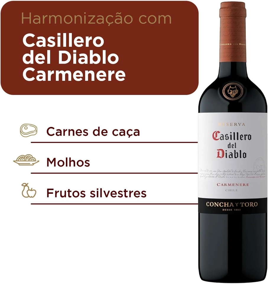 Casillero Del Diabo Vinho Carmenere 750 ml  - 2