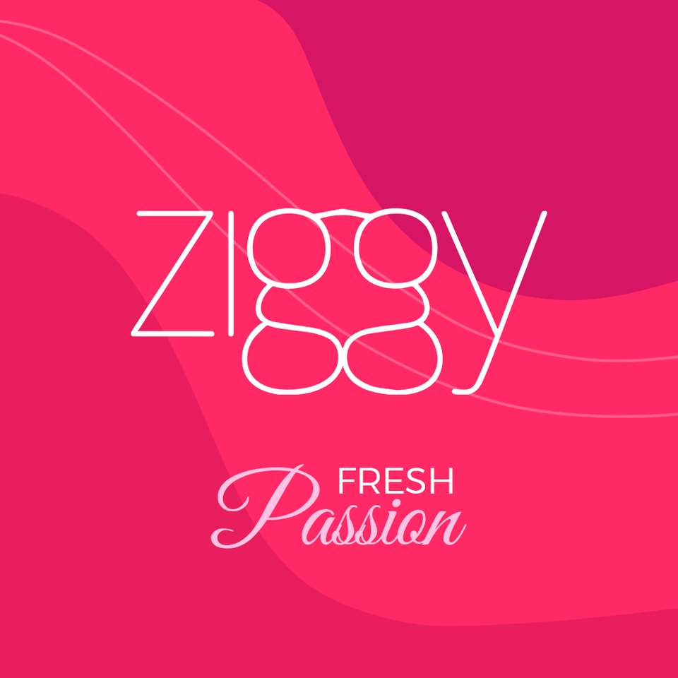 Essência Ziggy  - 3