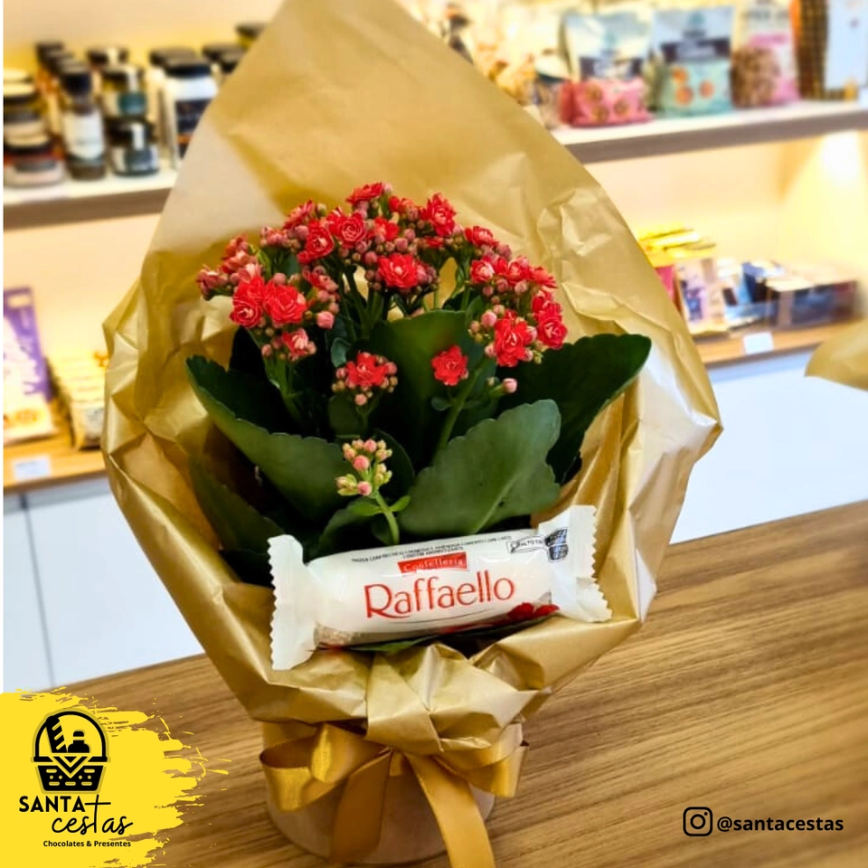 KALANCHOE + RAFFAELLO - 1