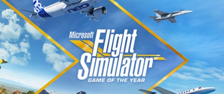 FLIGHT SIMULATOR GAME OF THE YEAR - KEY MICROSOFT