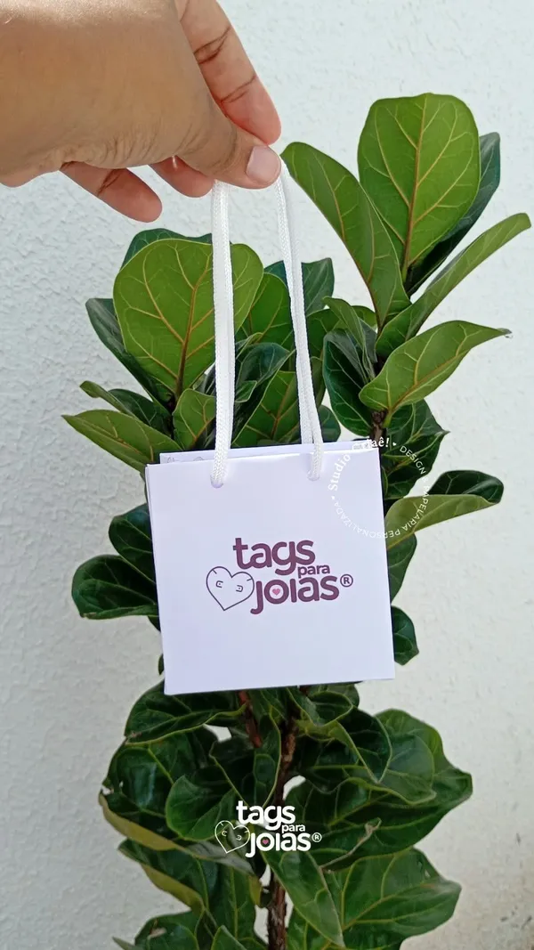 Mini Sacola com Alça para Joias