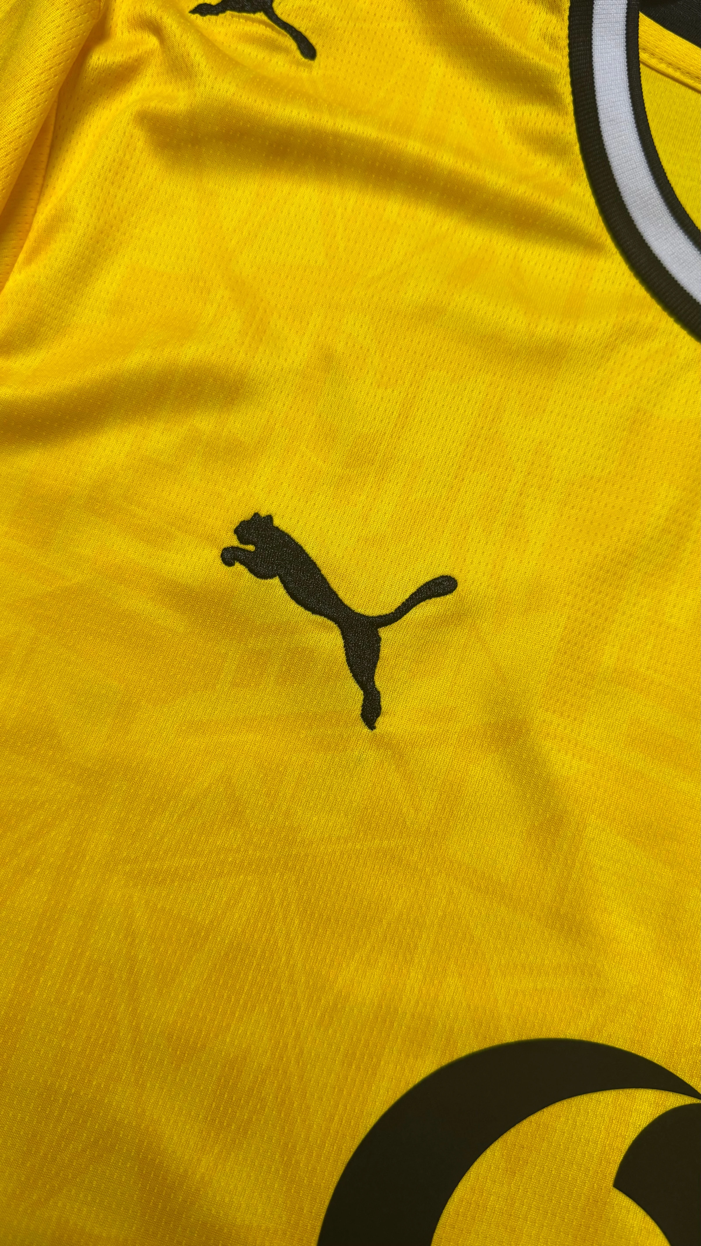 BORUSSIA DORTMUND 26/27 TORCEDOR - 4