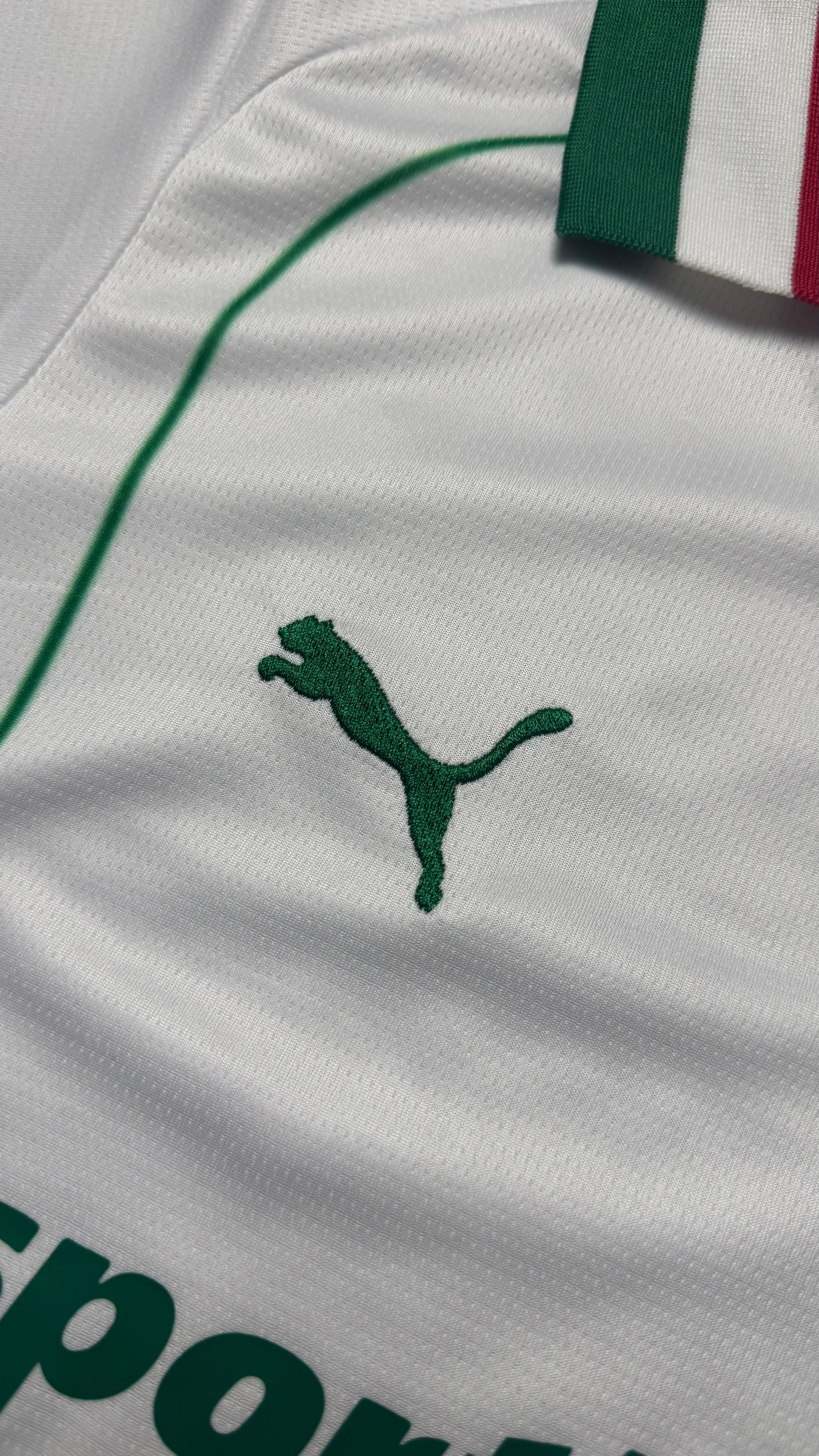 PALMEIRAS FEMININA RESERVA 26/27 - 4