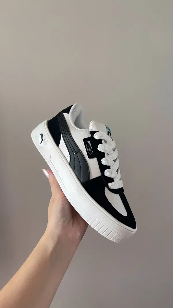 Puma - Palermo