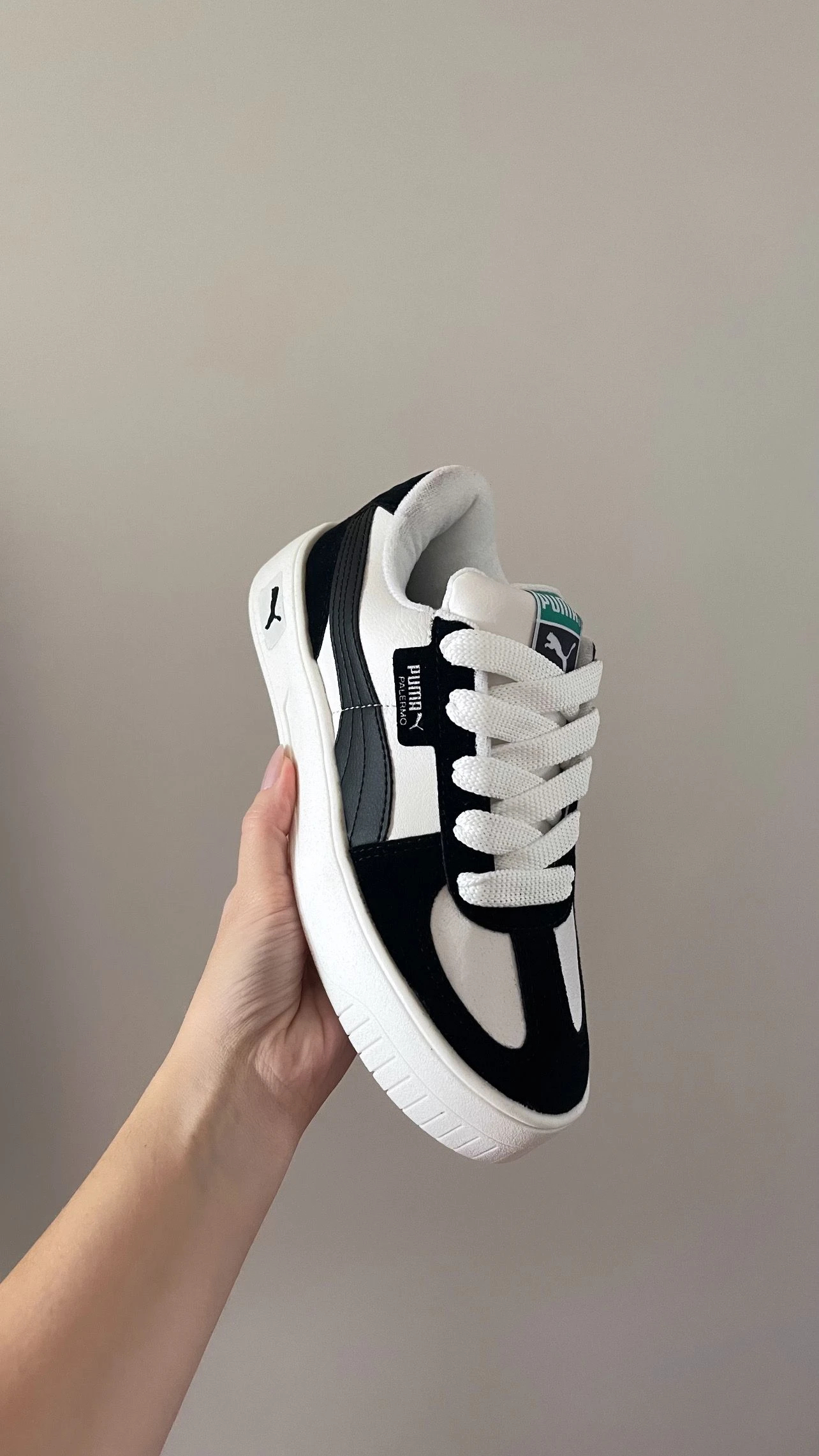 Puma - Palermo - 2