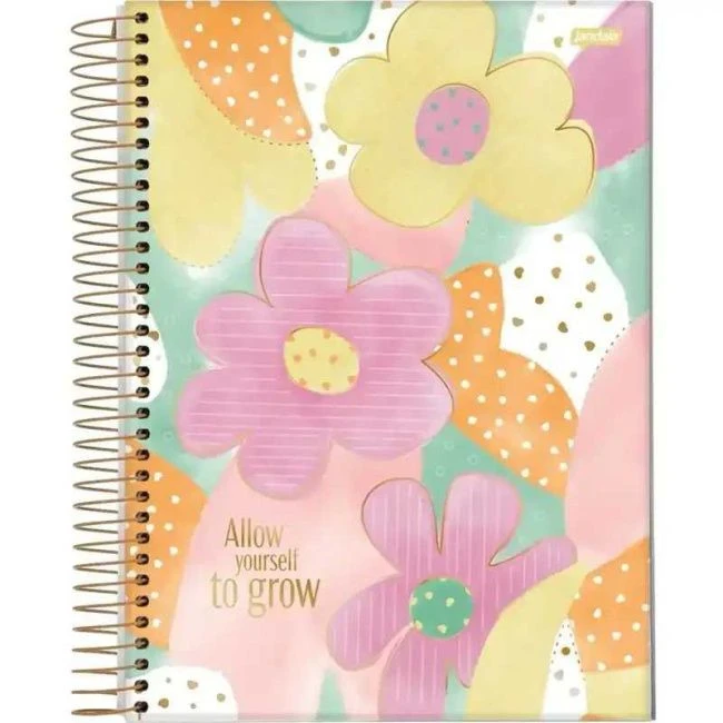 Caderno Espiral Universitário Capa Dura La Creme 10 Matérias 160 Folhas - Jandaia - 1